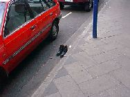 a pair of boots nicely placed in the gutter