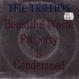 The Triffids - Beautiful Waste / Property Is Condemned